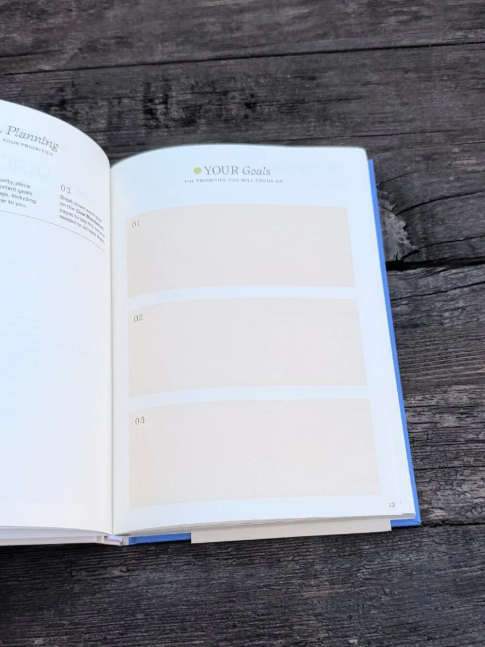 NEW Blue & Cream Papier “Start Fresh Everyday” 16 Week Productivity Planner